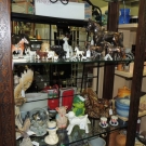 DSCN0919
